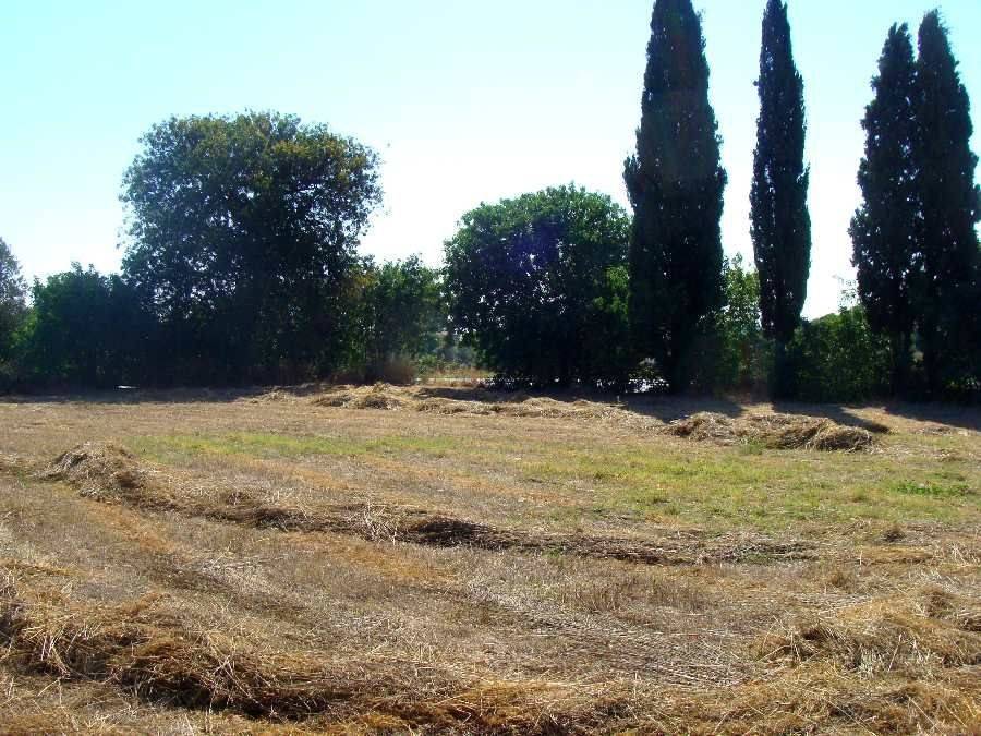 οικόπεδο 1 (φωτογραφία 3 από 3) 