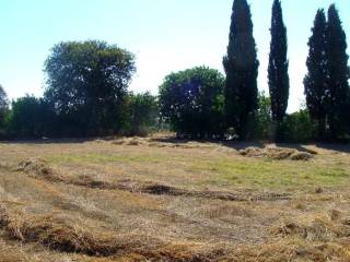 οικόπεδο 1 (φωτογραφία 3 από 3) 