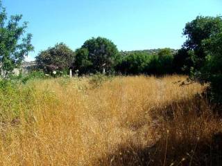 οικόπεδο 3 (φωτογραφία 3 από 4) 