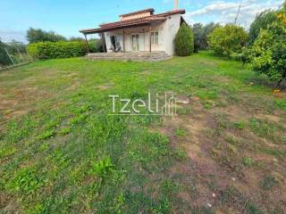 Λεπτομέρειες