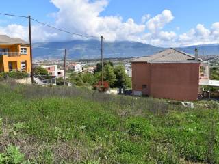 ΑΠΟΨΗ ΟΙΚΟΠΕΔΟΥ