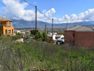 ΑΠΟΨΗ ΟΙΚΟΠΕΔΟΥ