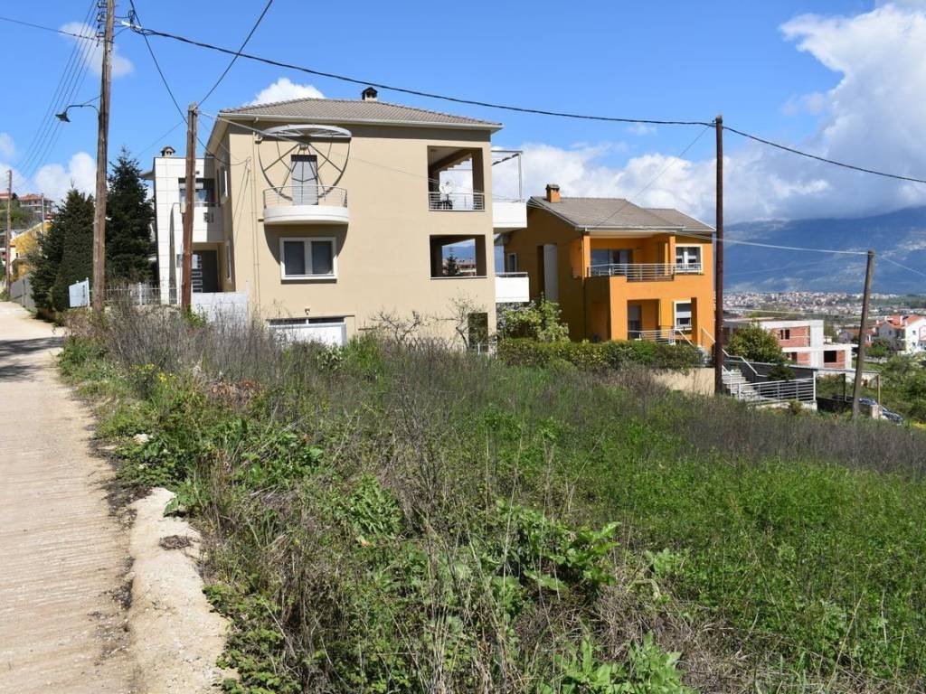 ΑΠΟΨΗ ΟΙΚΟΠΕΔΟΥ