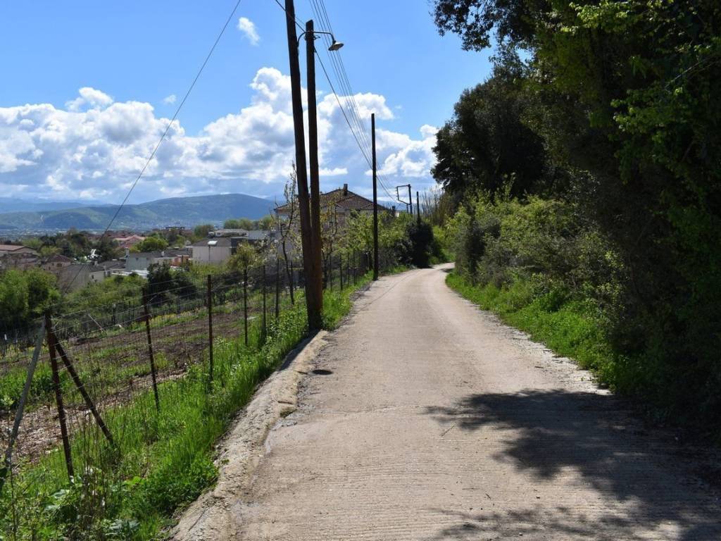 ΑΠΟΨΗ ΟΙΚΟΠΕΔΟΥ