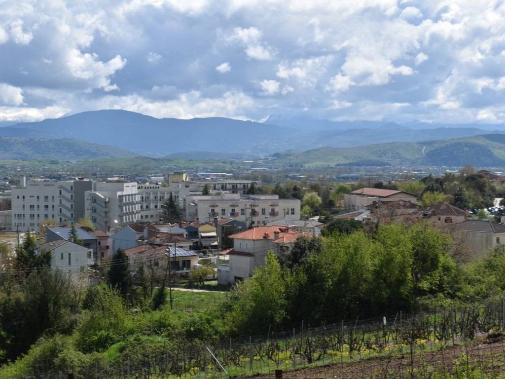 ΑΠΟΨΗ ΟΙΚΟΠΕΔΟΥ