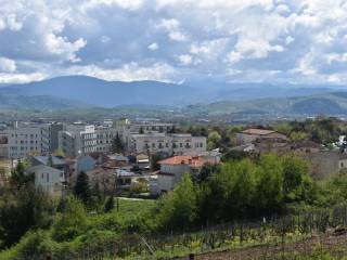 ΑΠΟΨΗ ΟΙΚΟΠΕΔΟΥ