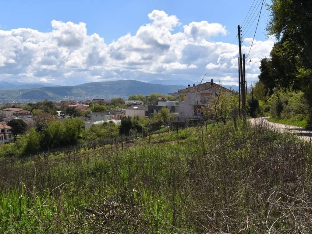 ΑΠΟΨΗ ΟΙΚΟΠΕΔΟΥ