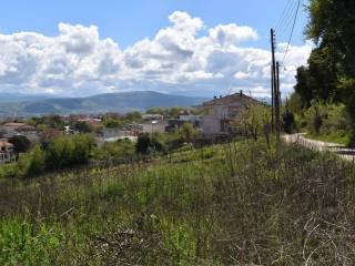 ΑΠΟΨΗ ΟΙΚΟΠΕΔΟΥ