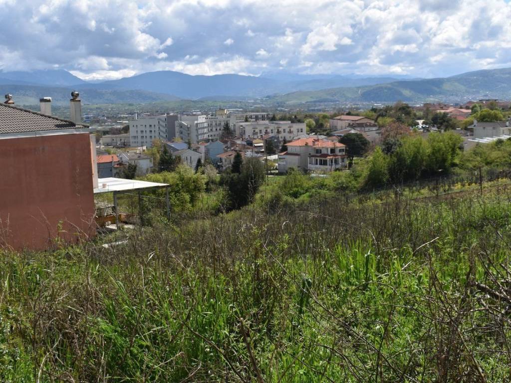 ΑΠΟΨΗ ΟΙΚΟΠΕΔΟΥ