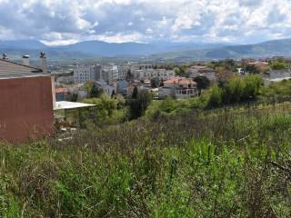 ΑΠΟΨΗ ΟΙΚΟΠΕΔΟΥ