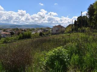 ΑΠΟΨΗ ΟΙΚΟΠΕΔΟΥ