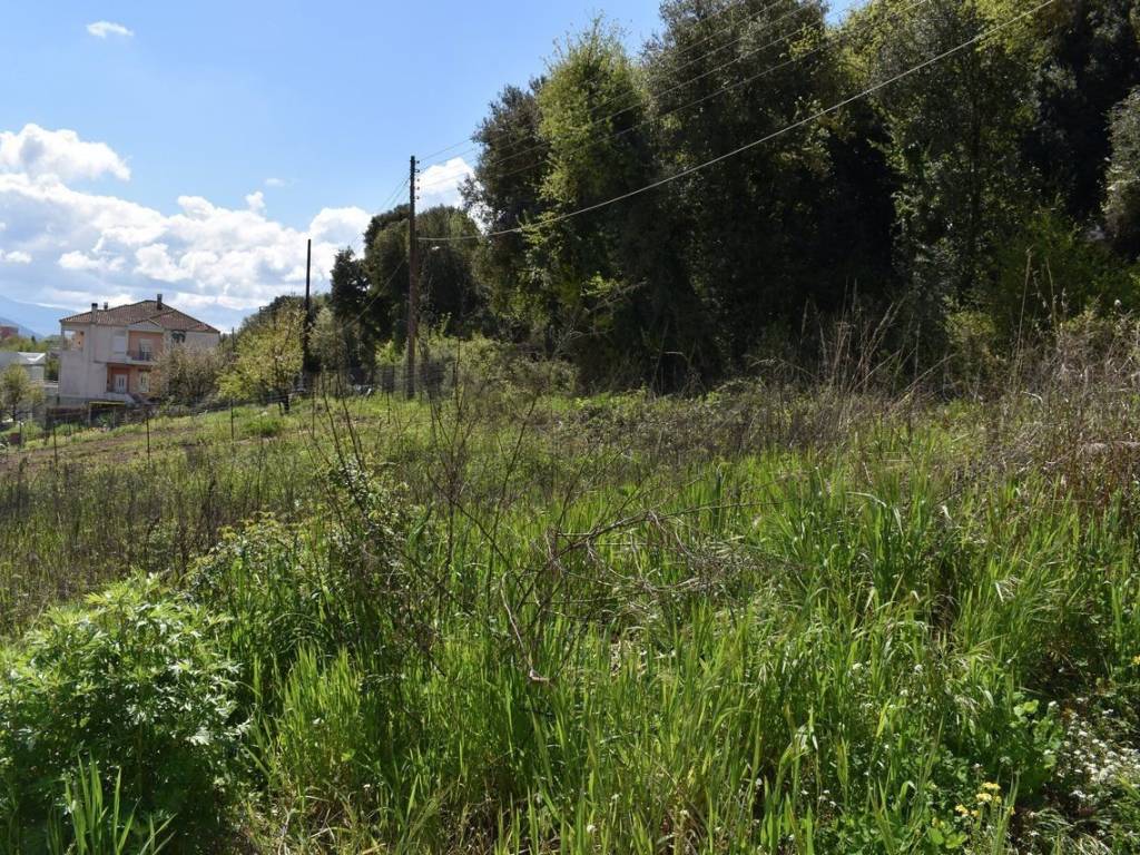 ΑΠΟΨΗ ΟΙΚΟΠΕΔΟΥ