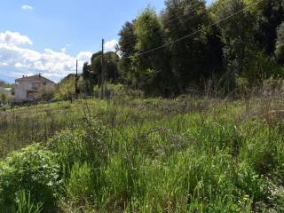 ΑΠΟΨΗ ΟΙΚΟΠΕΔΟΥ