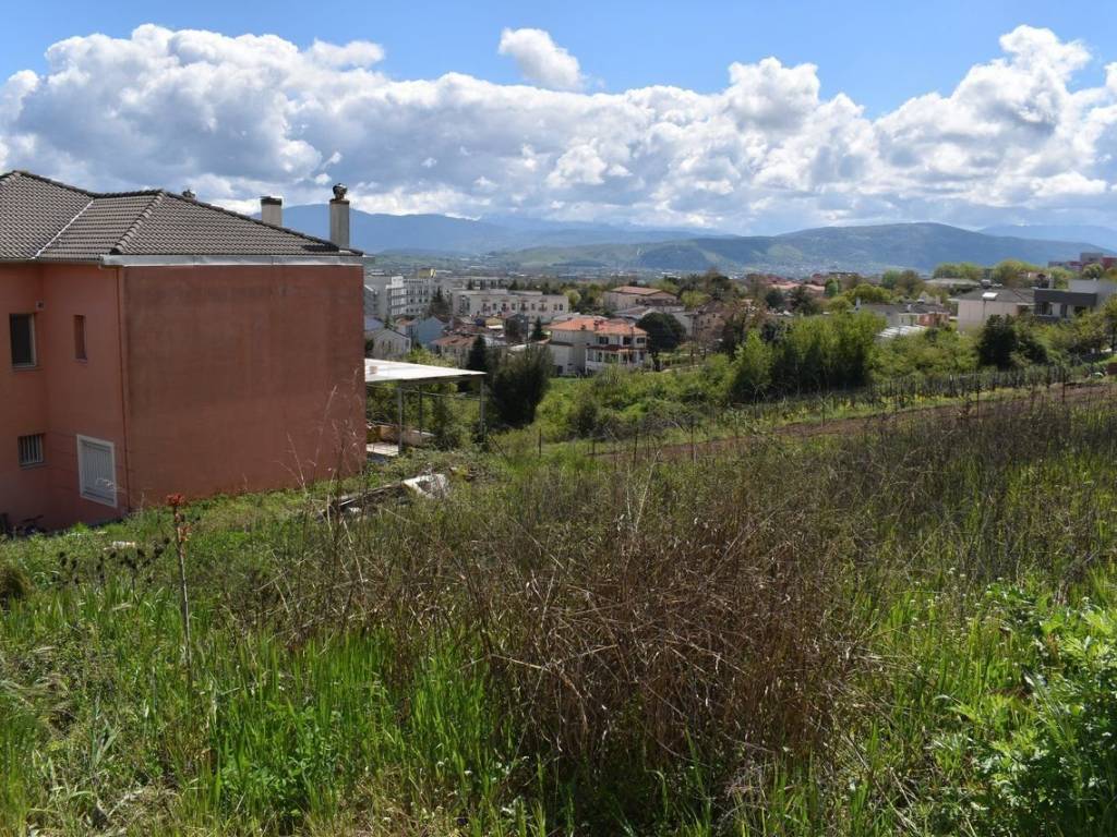 ΑΠΟΨΗ ΟΙΚΟΠΕΔΟΥ