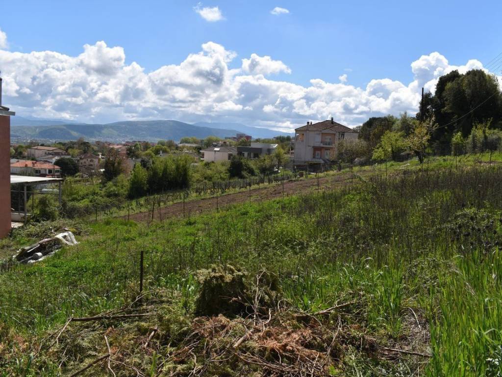 ΑΠΟΨΗ ΟΙΚΟΠΕΔΟΥ