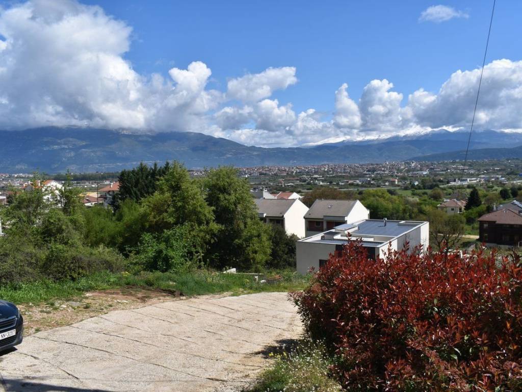 ΑΠΟΨΗ ΟΙΚΟΠΕΔΟΥ