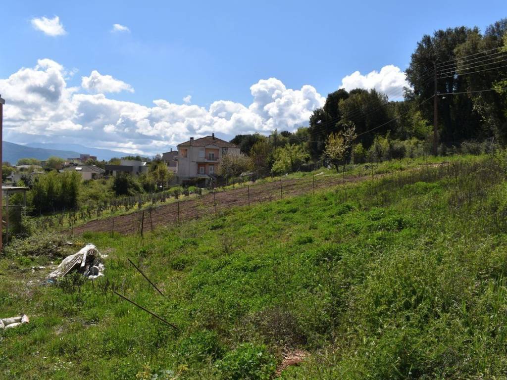 ΑΠΟΨΗ ΟΙΚΟΠΕΔΟΥ