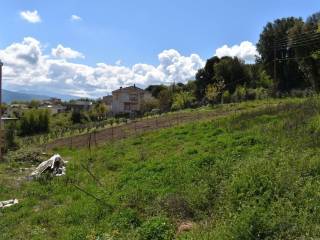 ΑΠΟΨΗ ΟΙΚΟΠΕΔΟΥ