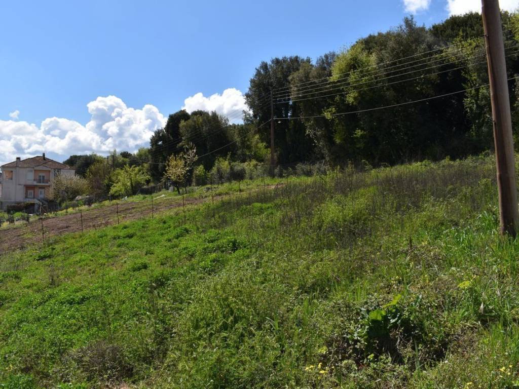 ΑΠΟΨΗ ΟΙΚΟΠΕΔΟΥ