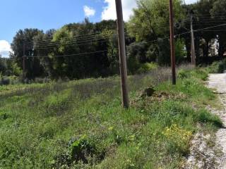 ΑΠΟΨΗ ΟΙΚΟΠΕΔΟΥ