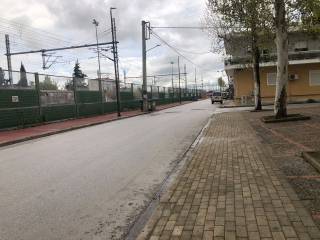 DIAMORPHOMOMENE ODOS LATTAMYA