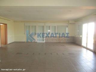 ΕΣΩΤΕΡΙΚΗ ΛΗΨΗ