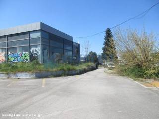 ΕΞΩΤΕΡΙΚΗ ΟΨΗ