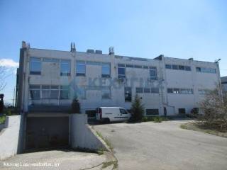 ΕΞΩΤΕΡΙΚΗ ΟΠΙΣΘΙΑ ΟΨΗ