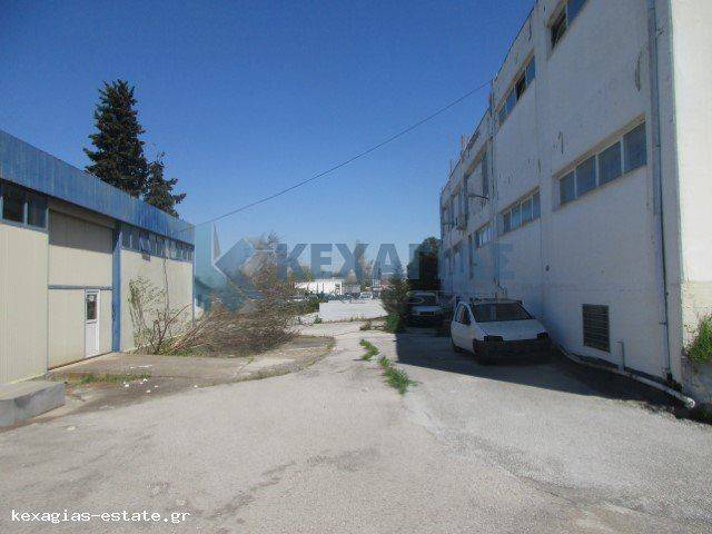 ΕΞΩΤΕΡΙΚΗ ΟΠΙΣΘΙΑ ΟΨΗ