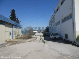 ΕΞΩΤΕΡΙΚΗ ΟΠΙΣΘΙΑ ΟΨΗ