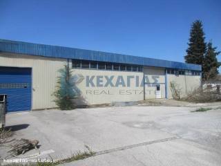 ΕΞΩΤΕΡΙΚΗ ΟΨΗ ΑΠΟΘΗΚΗΣ