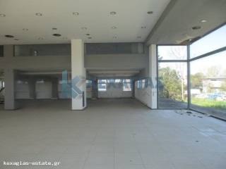 ΕΣΩΤΕΡΙΚΗ ΛΗΨΗ