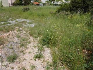 Forumland Real Estate, Οικόπεδο