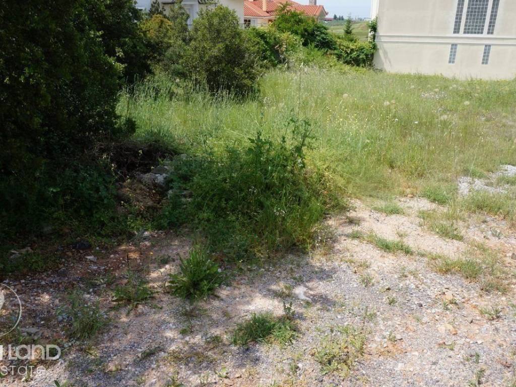 Forumland Real Estate, οικόπεδο