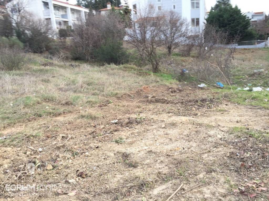 Forumland Real Estate, οικόπεδο