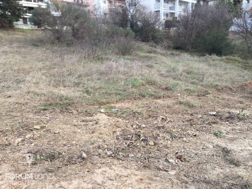 Forumland Real Estate, οικόπεδο