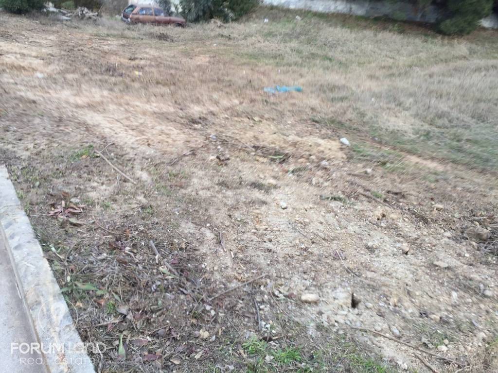 Forumland Real Estate, οικόπεδο