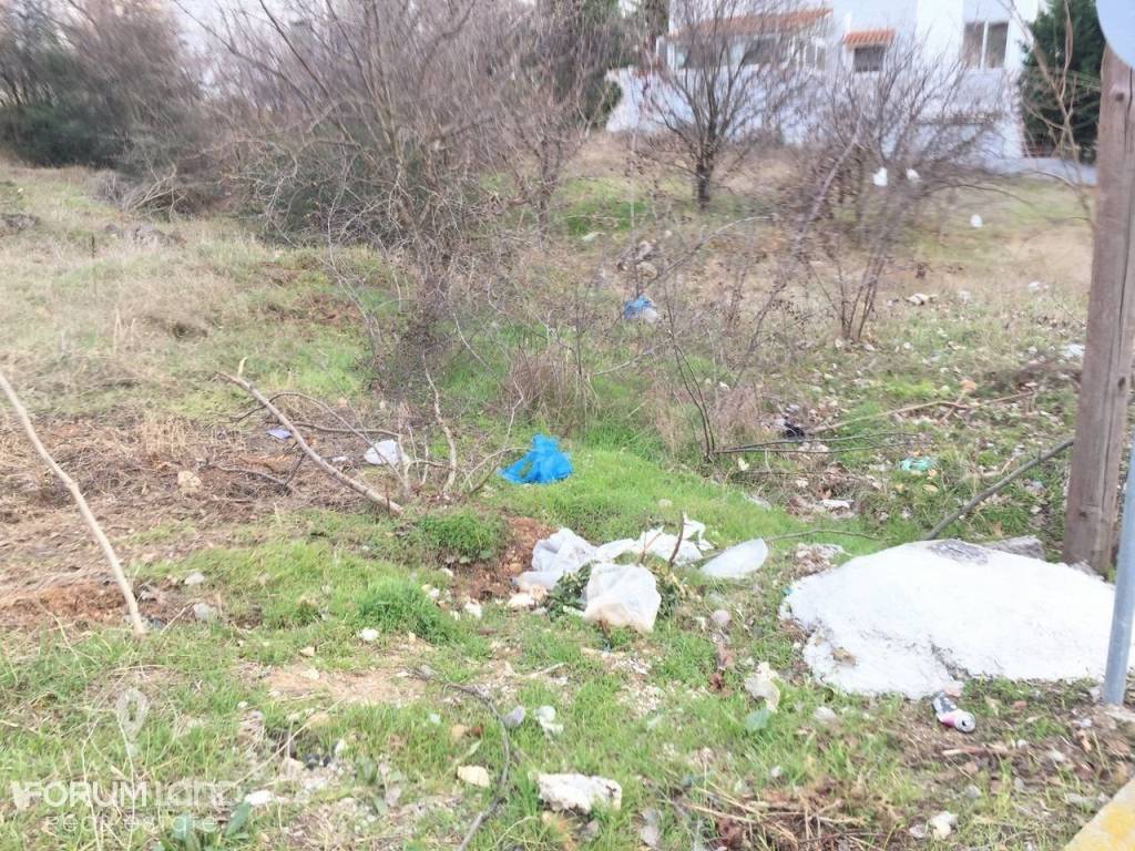 Forumland Real Estate, οικόπεδο