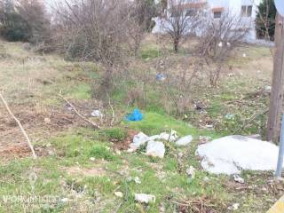 Forumland Real Estate, οικόπεδο