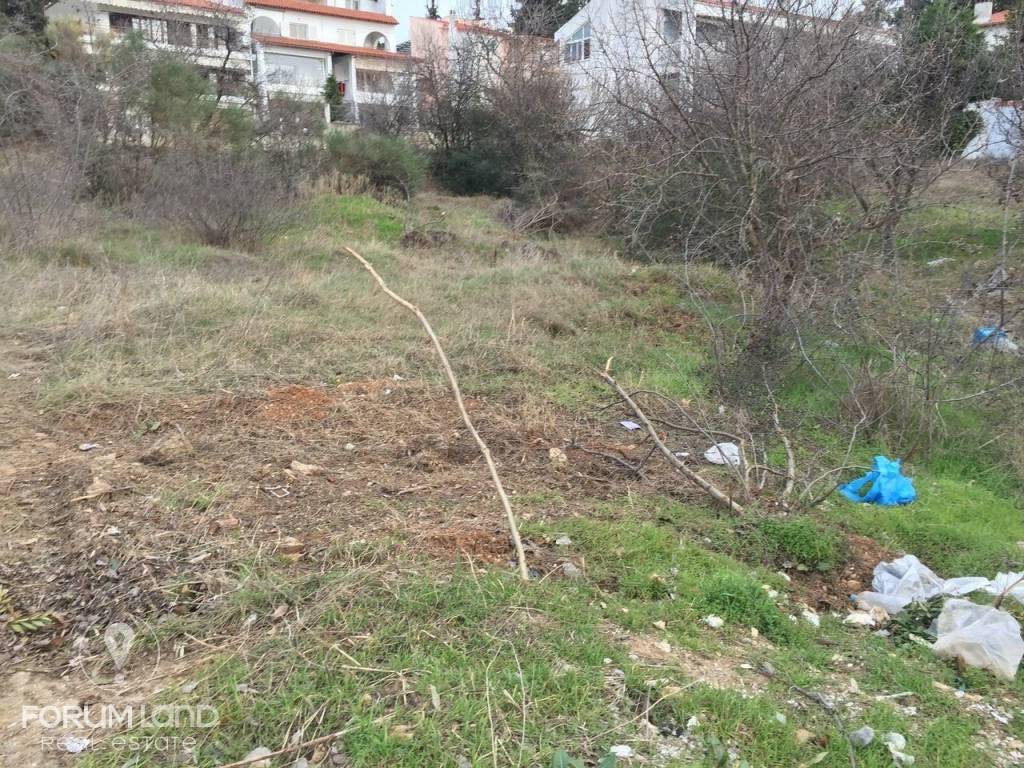 Forumland Real Estate, οικόπεδο