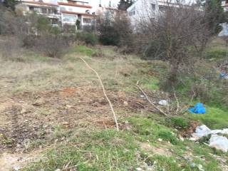 Forumland Real Estate, οικόπεδο