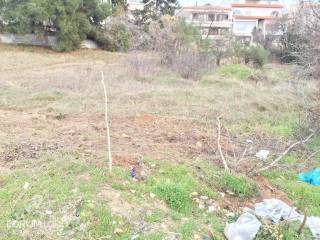 Forumland Real Estate, οικόπεδο