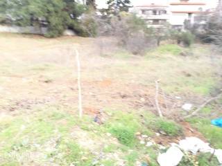 Forumland Real Estate, οικόπεδο