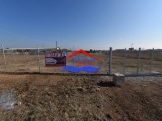 Ύπαρξη ανθρώπου