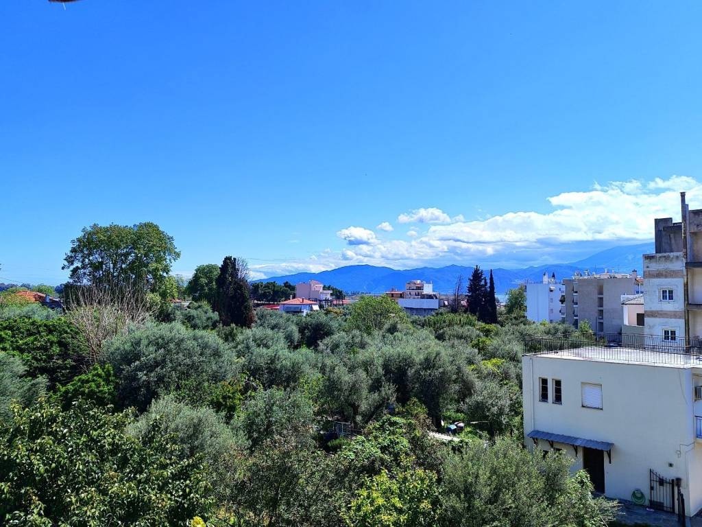 E THEA APO TE MONOKATOIKIA