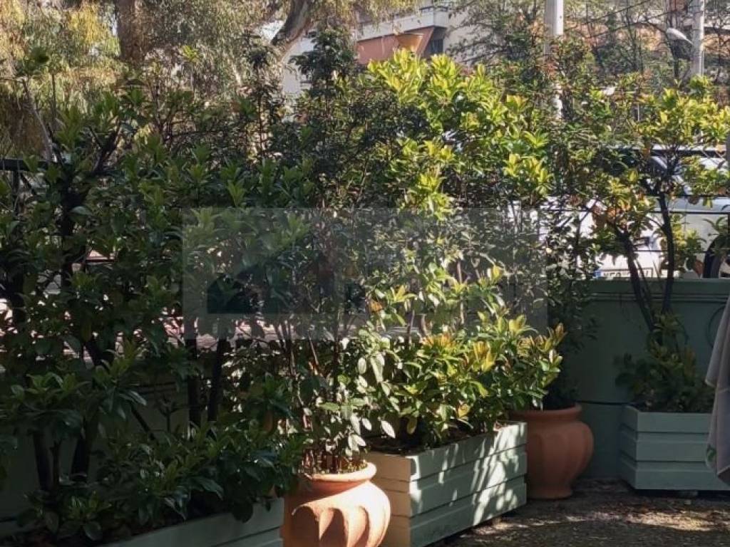 Εξωτερικοι χώροι