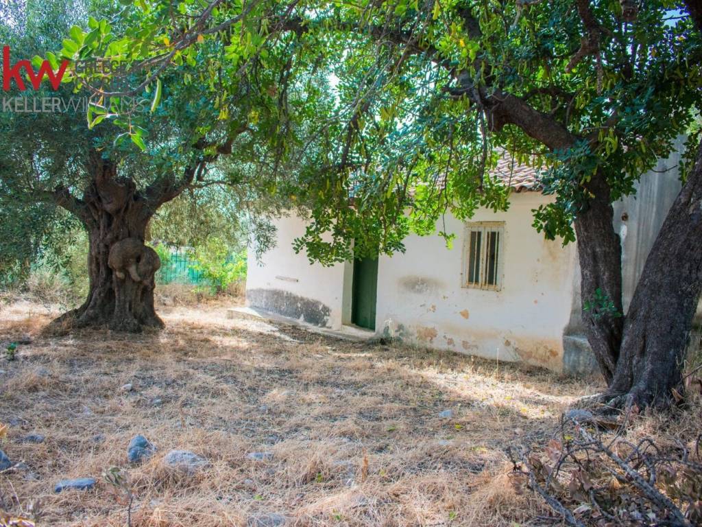 Εξωτερικοι χώροι