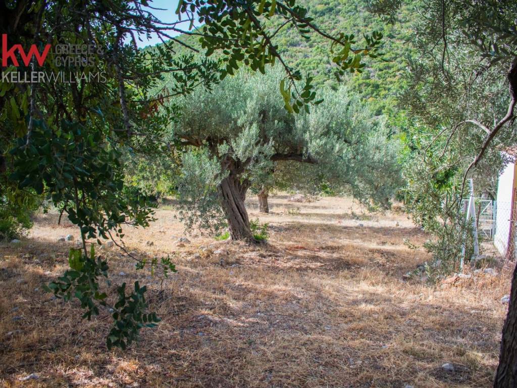 Εξωτερικοι χώροι