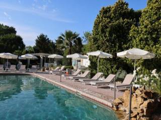 Screenshot 2025-03-29 11.47.45 AM.png