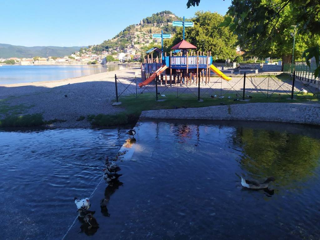 EIKONA APO TO GRIMPOBO